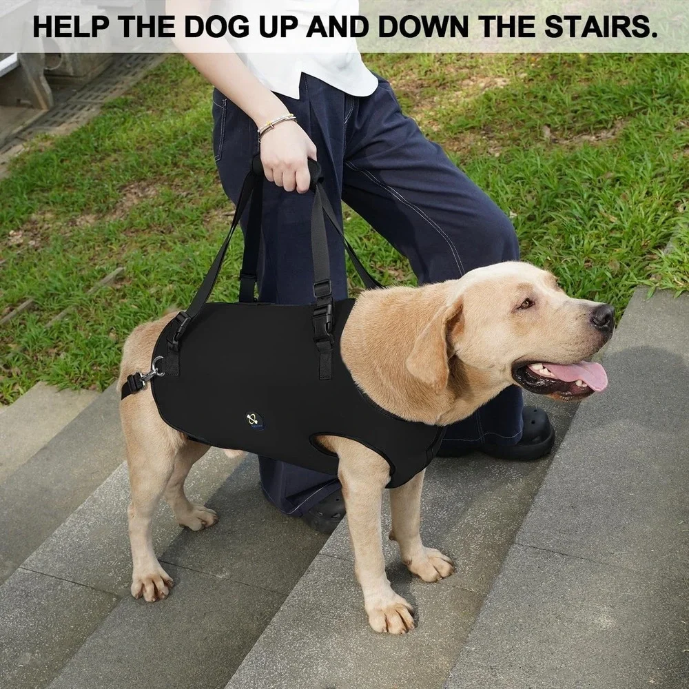 Coodeo Pet Support Harness XS Dog Sling Lift for Disabled Dogs Walking Aid Black